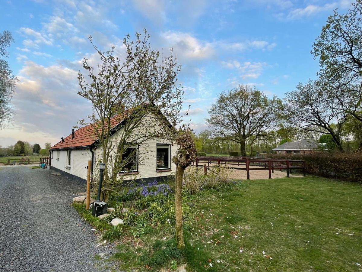 Tiny House Veluwse Garre Vakantiehuis